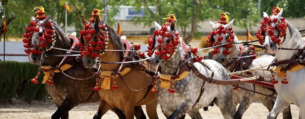 Spettacolo equestre e tour della cantina a Jerez da Siviglia