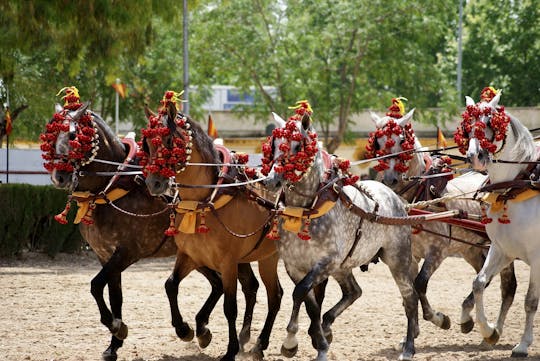Equestrian show and winery tour in Jerez from Seville