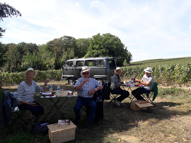 Guided tour of the Vollereaux Champagne cellar with a picnic in the vineyard