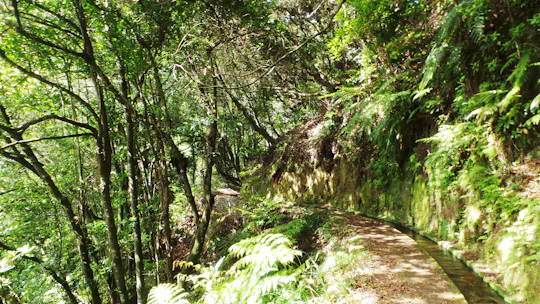 Vandretur til skjulte dele af Madeira