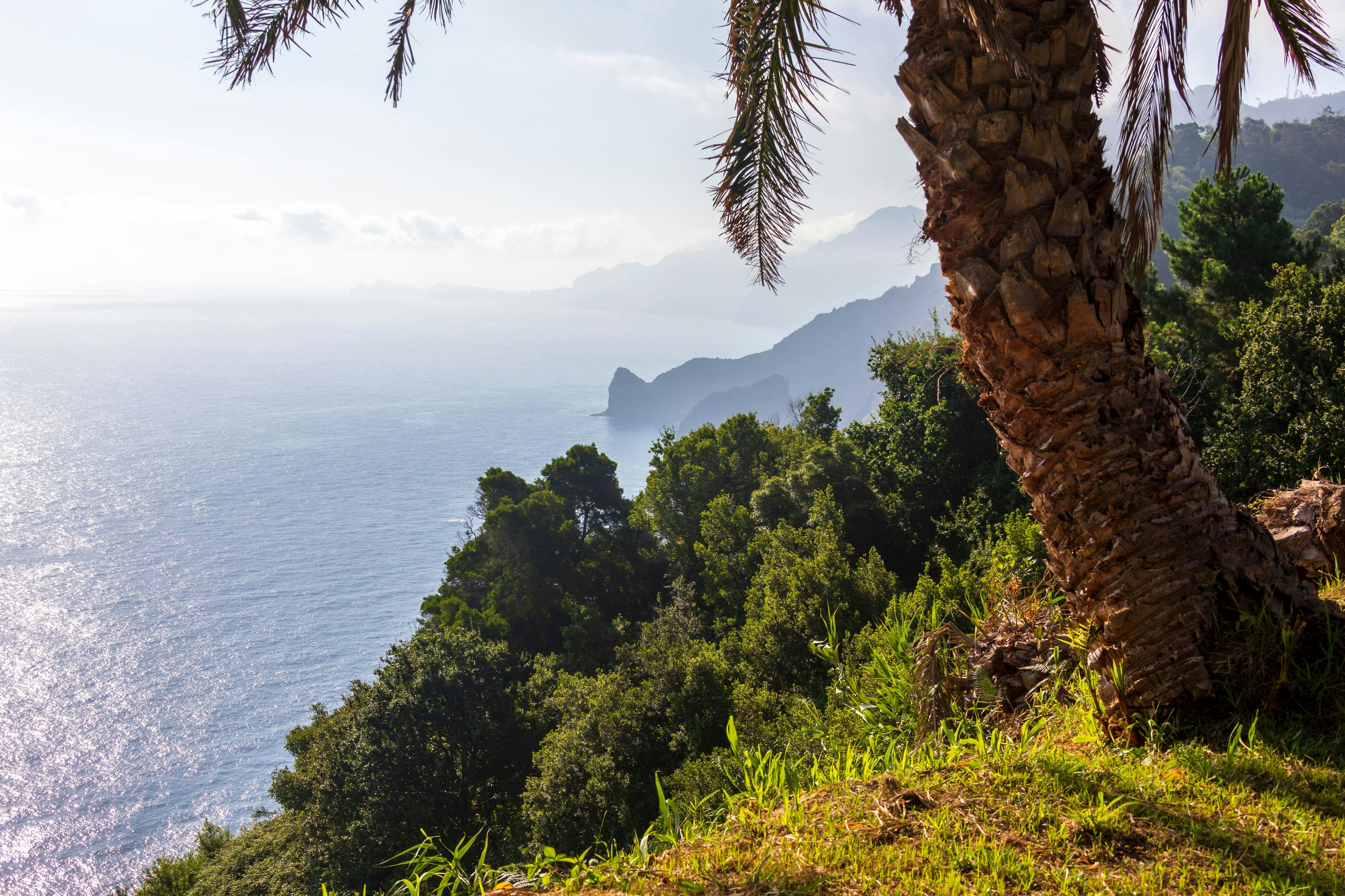 Enchanting East Madeira Tour