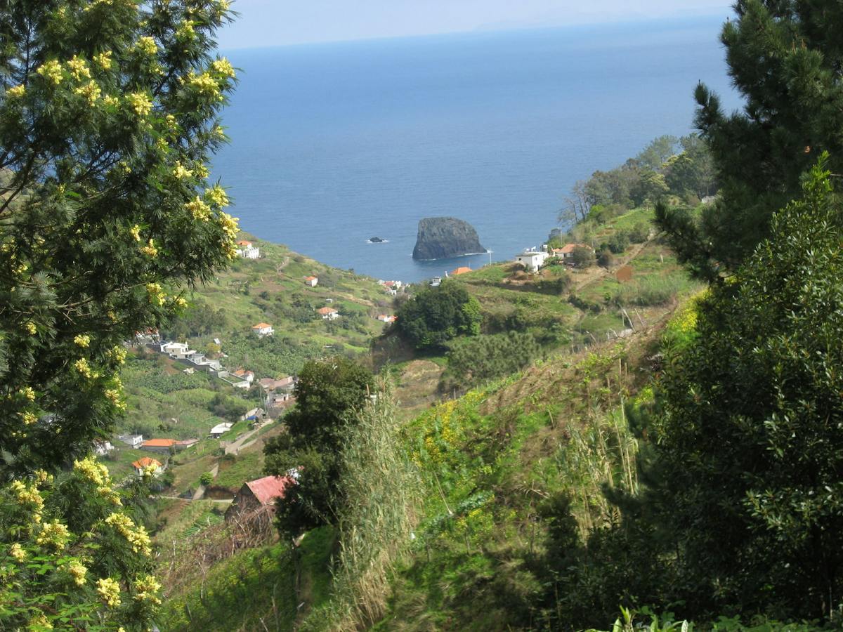 Referta Walk