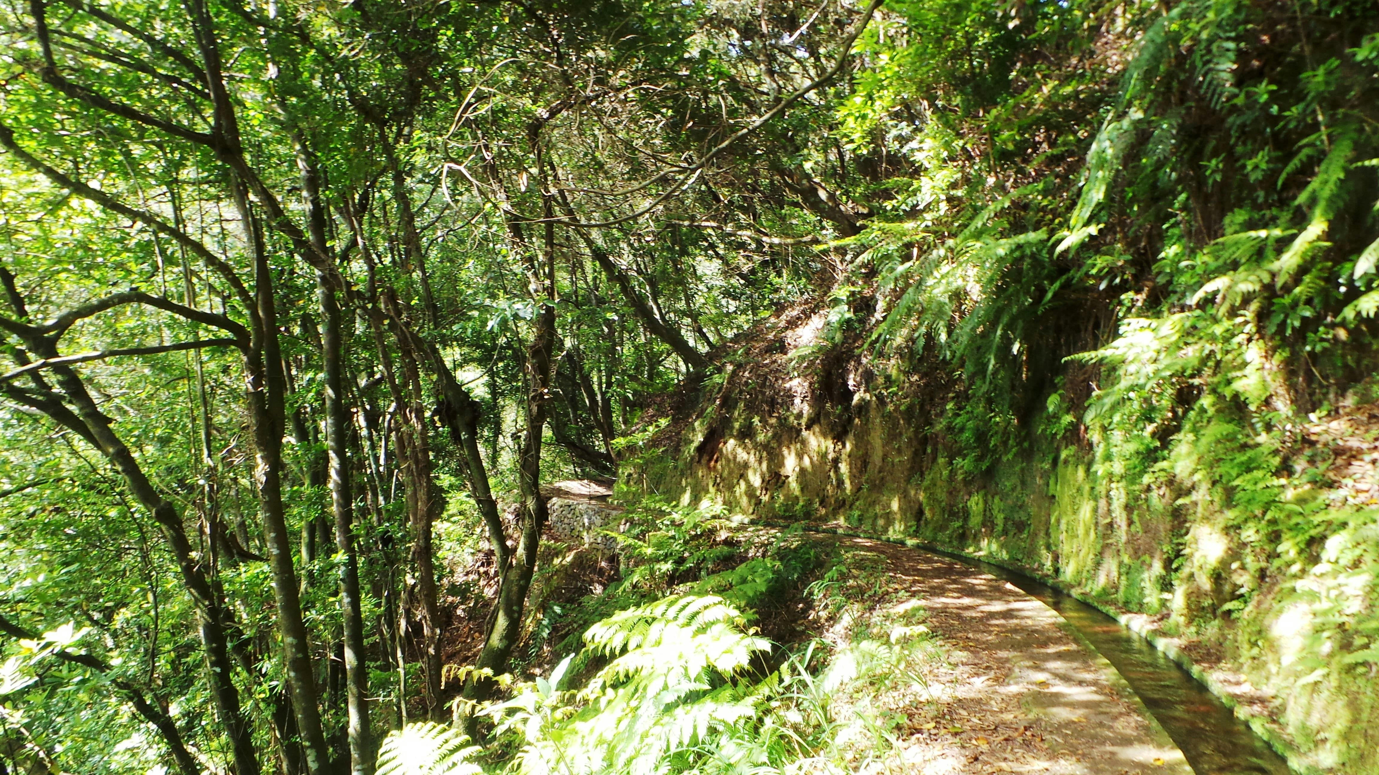 Caminhada pelos cantos escondidos