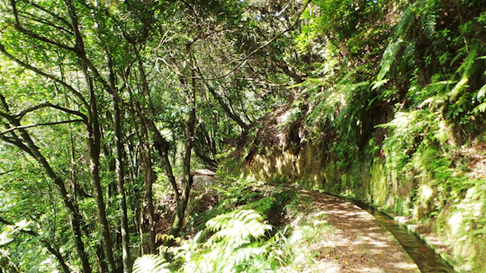 Hidden Corners Walk