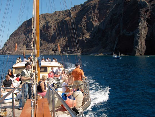 Recherche des dauphins et baleines à Madère