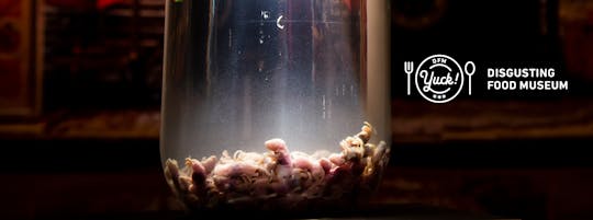 Ingresso al museo Disgusting Food e alla mostra sugli alcolici