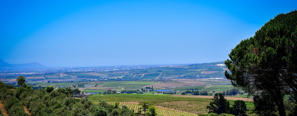 Private half-day tour to Waterford Wine Estate