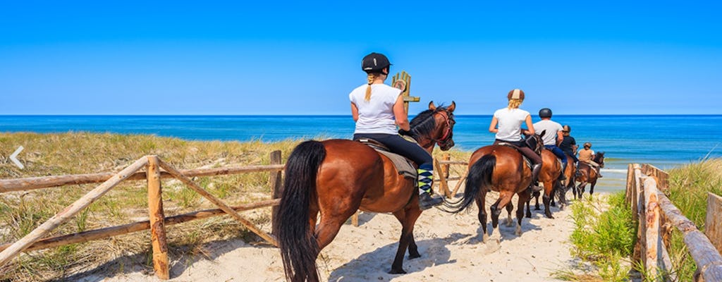 Equitazione sulla spiaggia di sabbia dorata di Antalya
