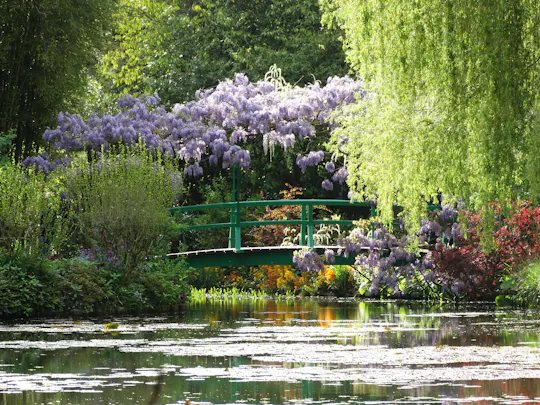 Excursion privée d'une journée sur Monet et Van Gogh au départ de Paris