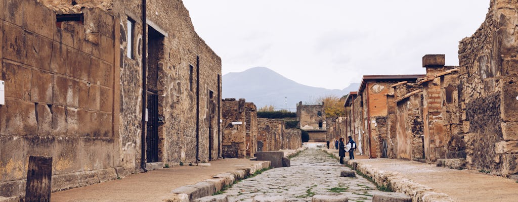 Pompeii guided walking tour