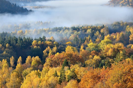 Privé roadtrip van een hele dag naar Cēsis, Līgatne, Āraiši en Sigulda