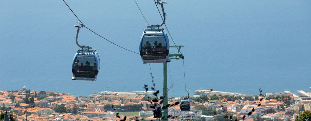 Udflugt til Den Tropiske Have ved Monte Palace med kabelbane