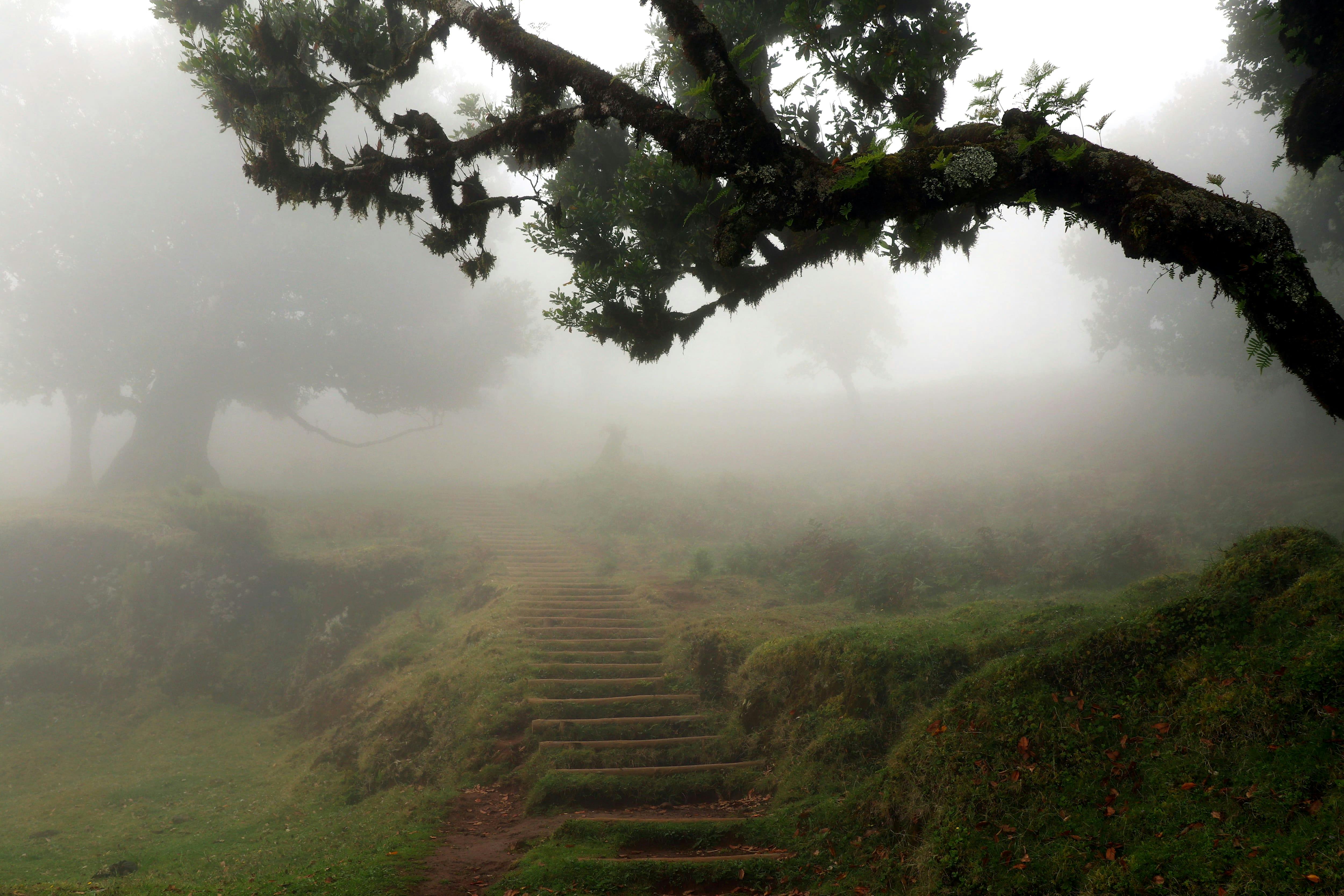 Fanal Wandeling- vanaf het Westen