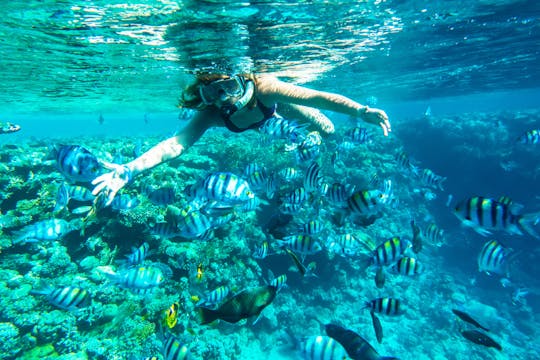 Mahmya Giftun Island heldags snorkling krydstogt og strand i Hurghada
