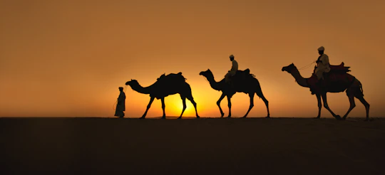 Naqb National Park in a 4x4 with camel ride and dinner