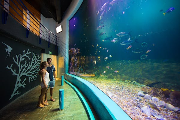 Boletos interactivos para el acuario de Cancún