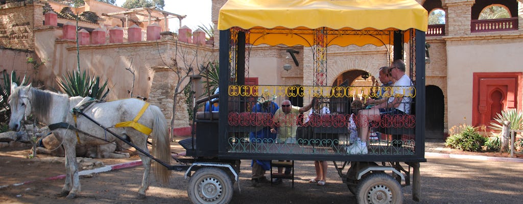Tour Medina Coco Polizzi con carruaje de caballos