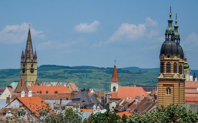 Excursion d'une journée à Sibiu au départ de Brasov