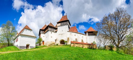 Tour di un'intera giornata a Sighisoara e Viscri da Cluj