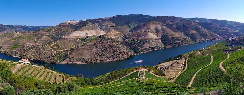 Tour privato del vino nella valle del Douro e gita in barca