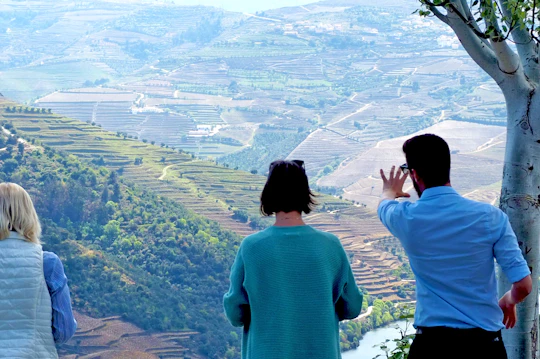Douro valley wine venture and boat trip