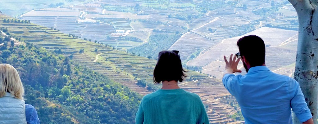 Aventure viticole dans la vallée du Douro et excursion en bateau