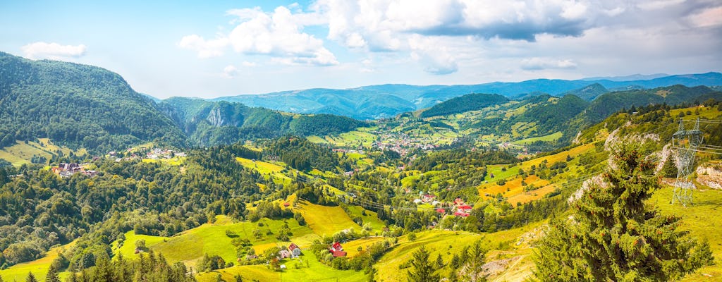 Private hiking and bear watching experience in the Carpathian mountains