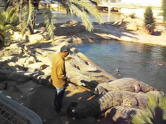 Wycieczka do Djerba Explore Park