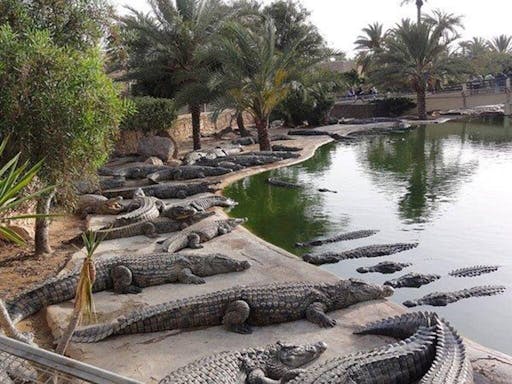 Djerba Explore Park Tour