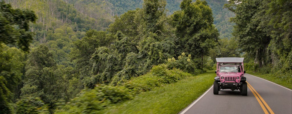 Excursão Newfound Gap Smoky Mountains