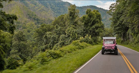 Newfound Gap Smoky Mountains tour