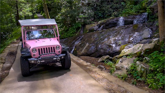 Roaring Fork: tour delle Smoky Mountains