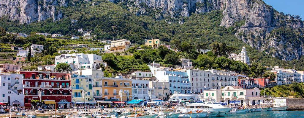 Capri und Anacapri exklusive private Tour