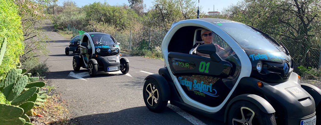 Twizy Safari Tenerife Tour