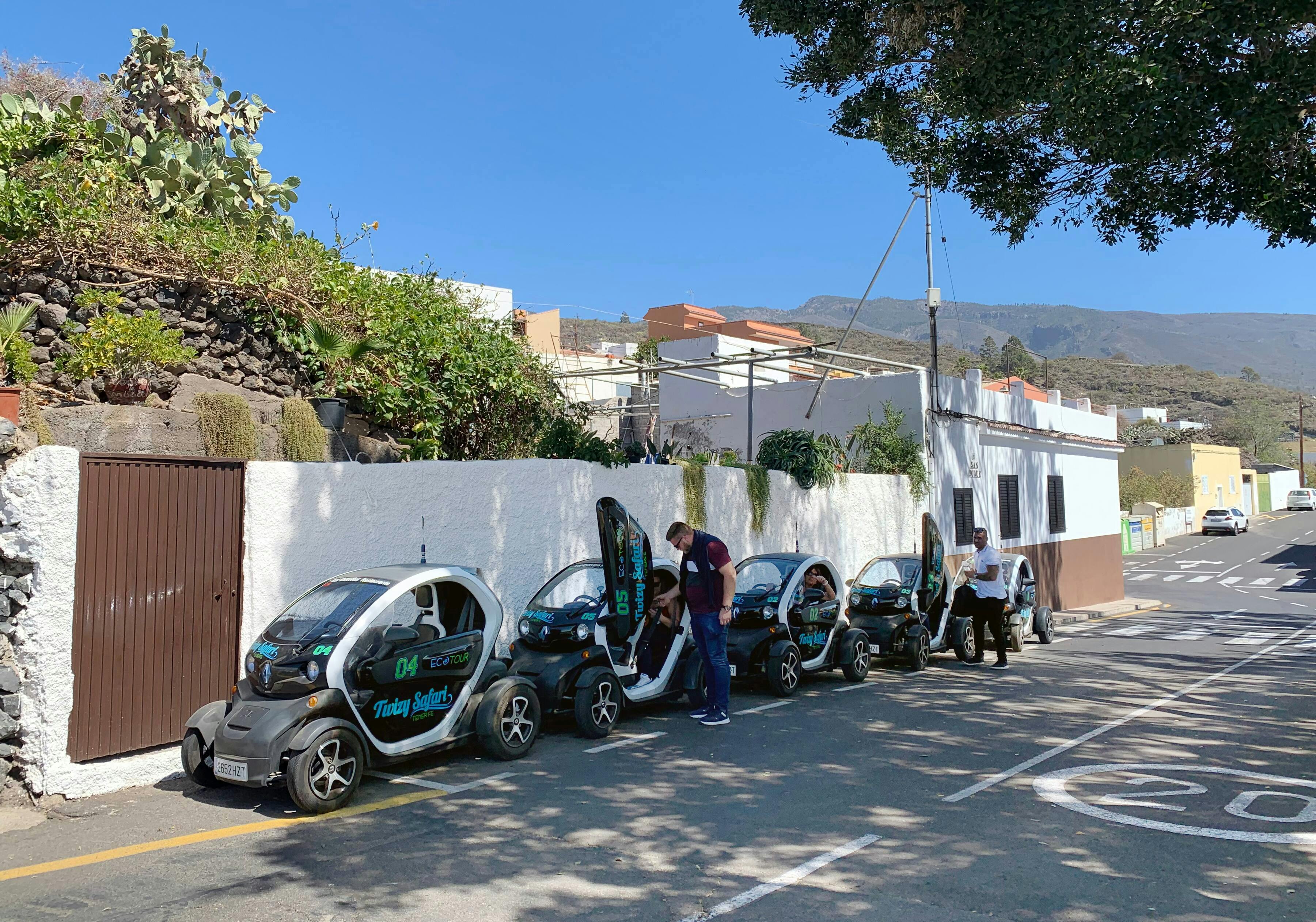 Twizy Safari Tenerife Tour for One