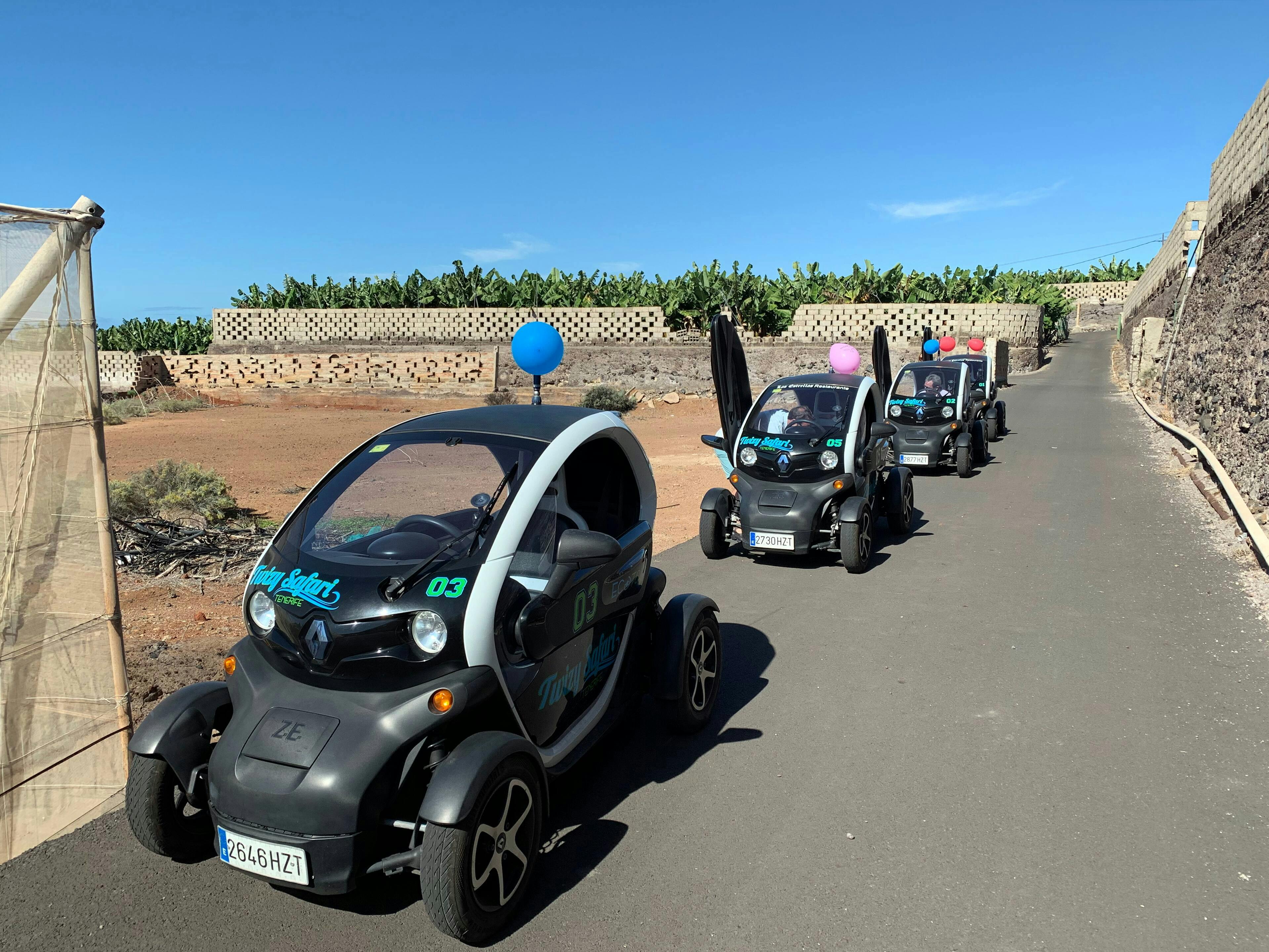 Twizy Safari Tenerife Tour for One