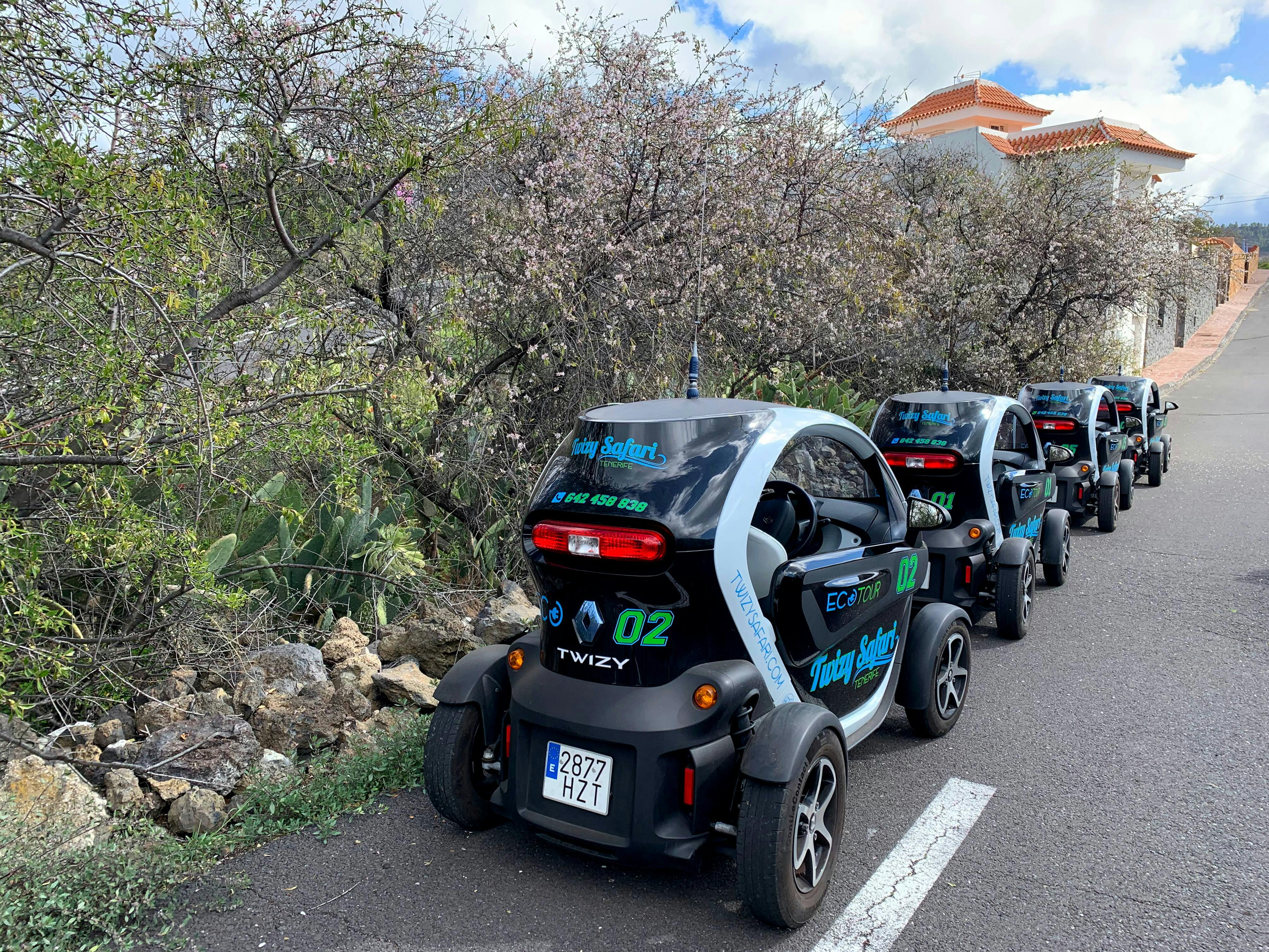 Twizy Safari Tenerife Tour for One