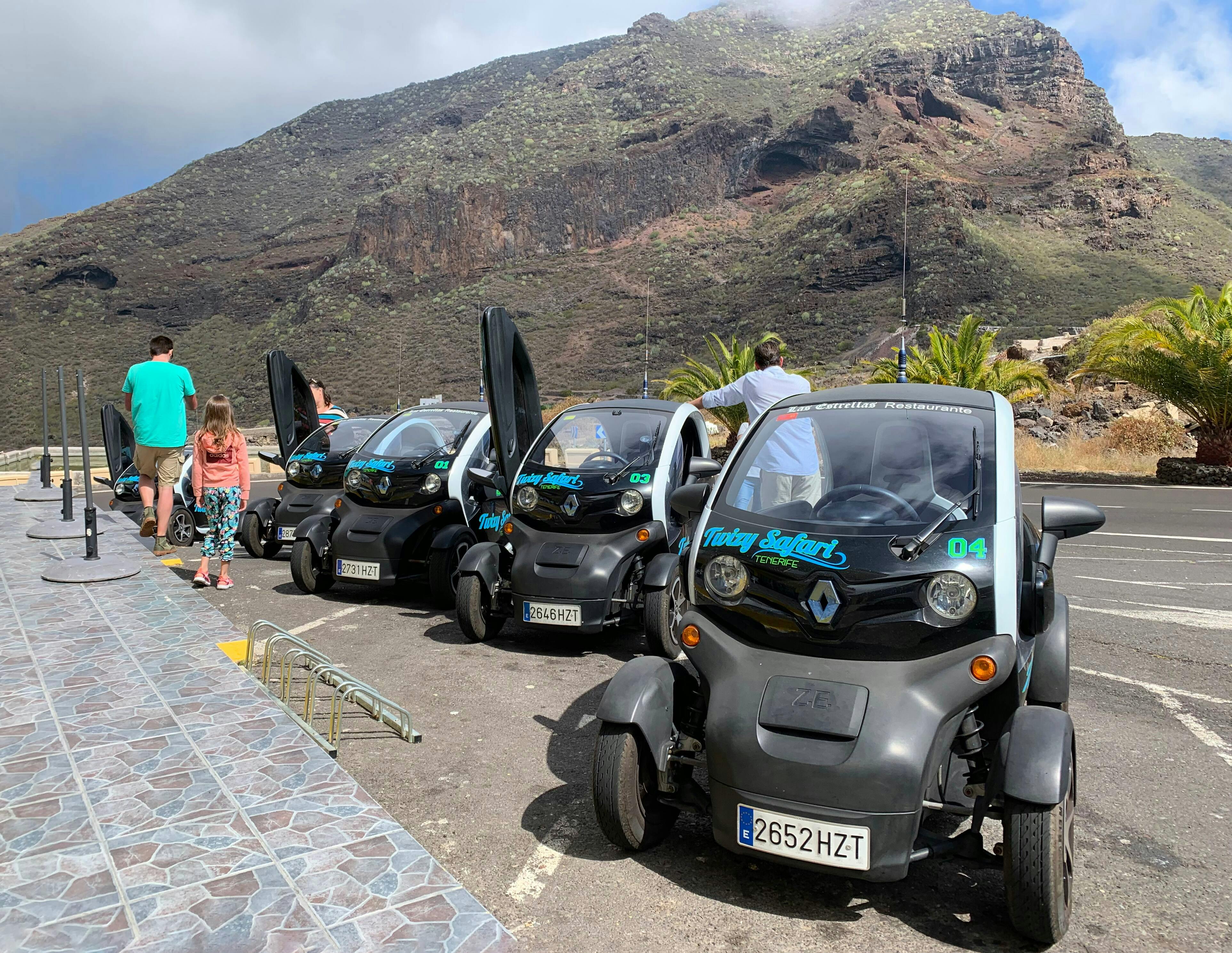 Twizy Safari Tenerife Tour for One
