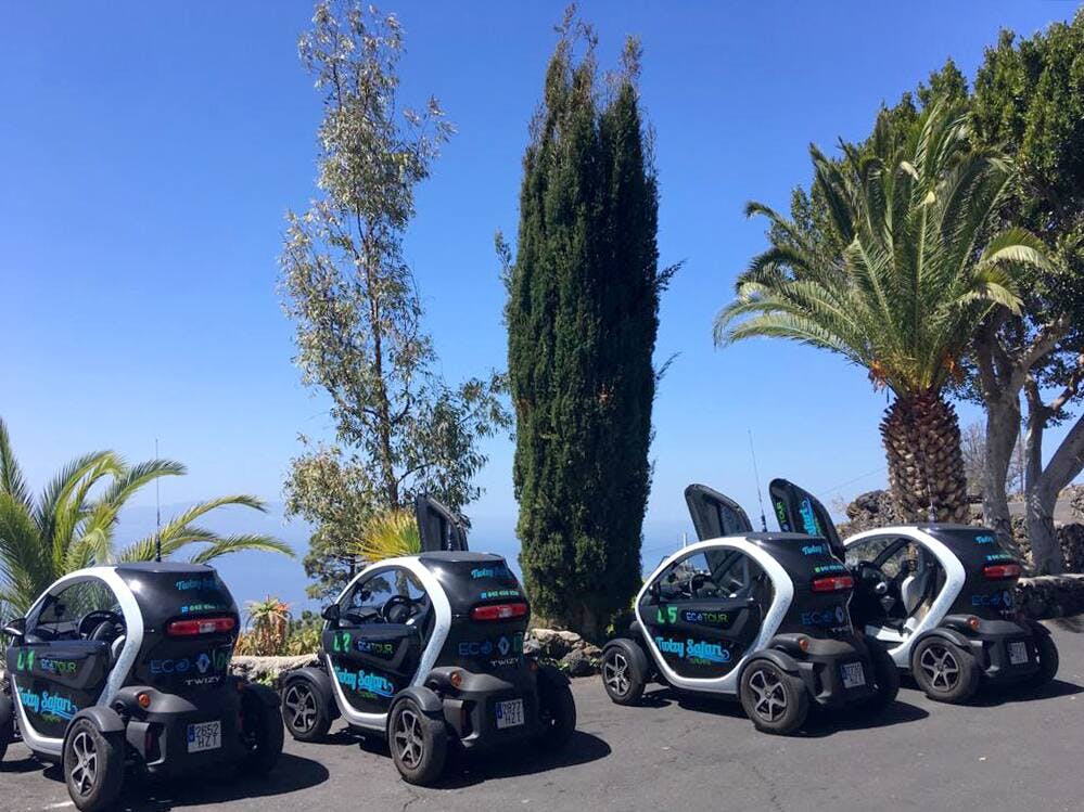Twizy Safari Tenerife Tour for One