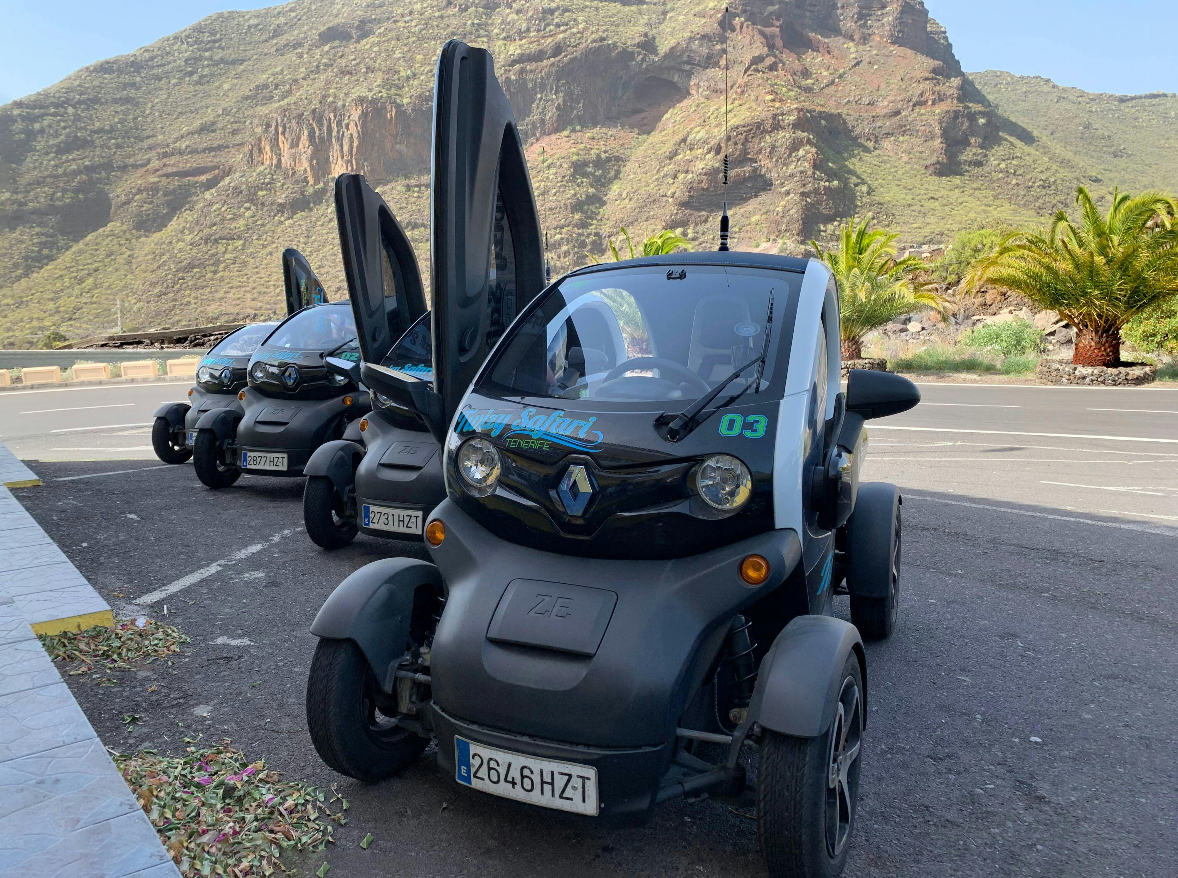 Twizy Safari Tenerife Tour for One
