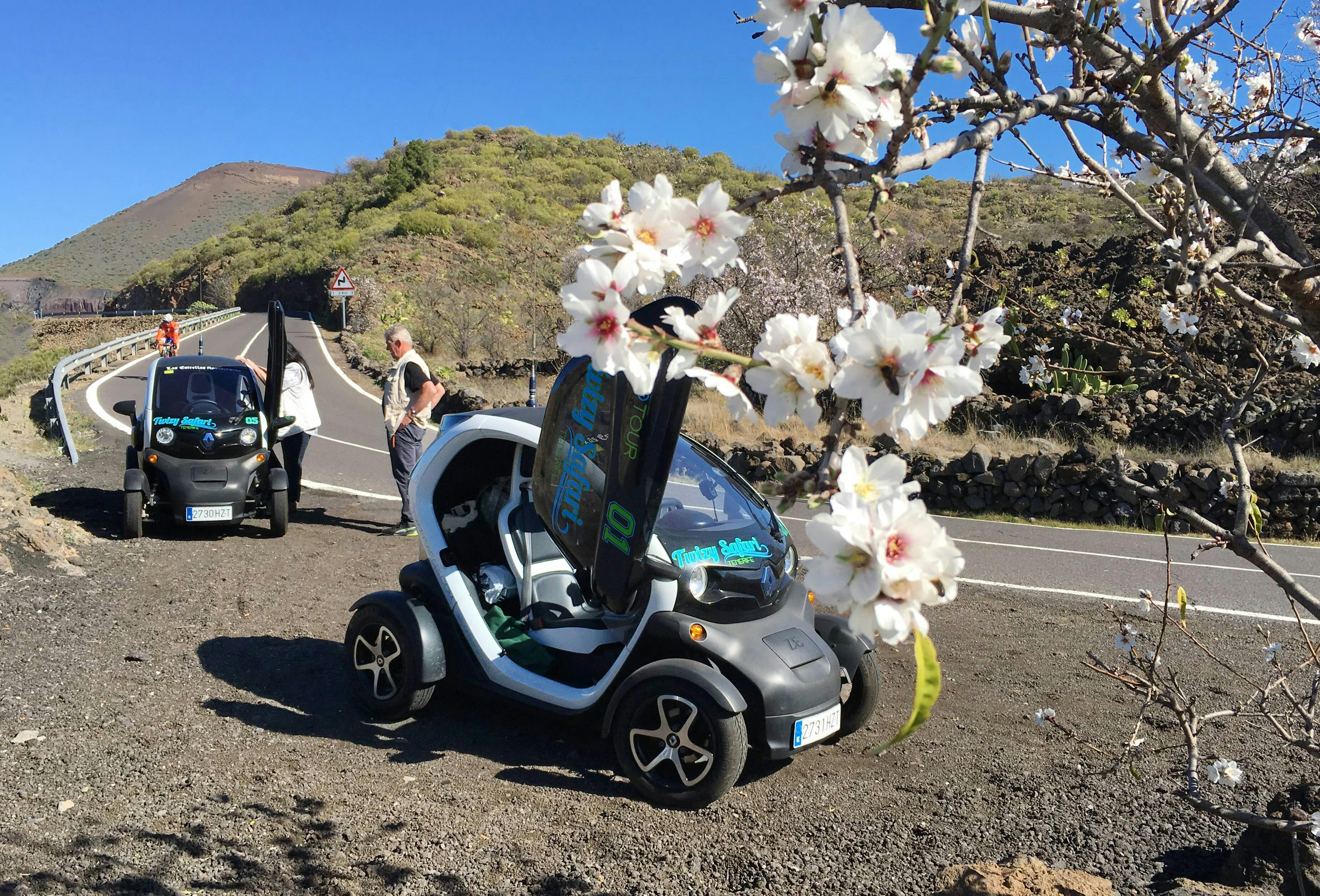 Twizy Safari Tenerife Tour for One