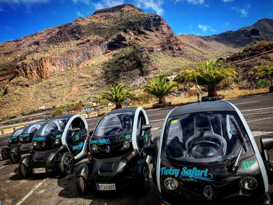 Twizy Safari Tenerife Tour for One