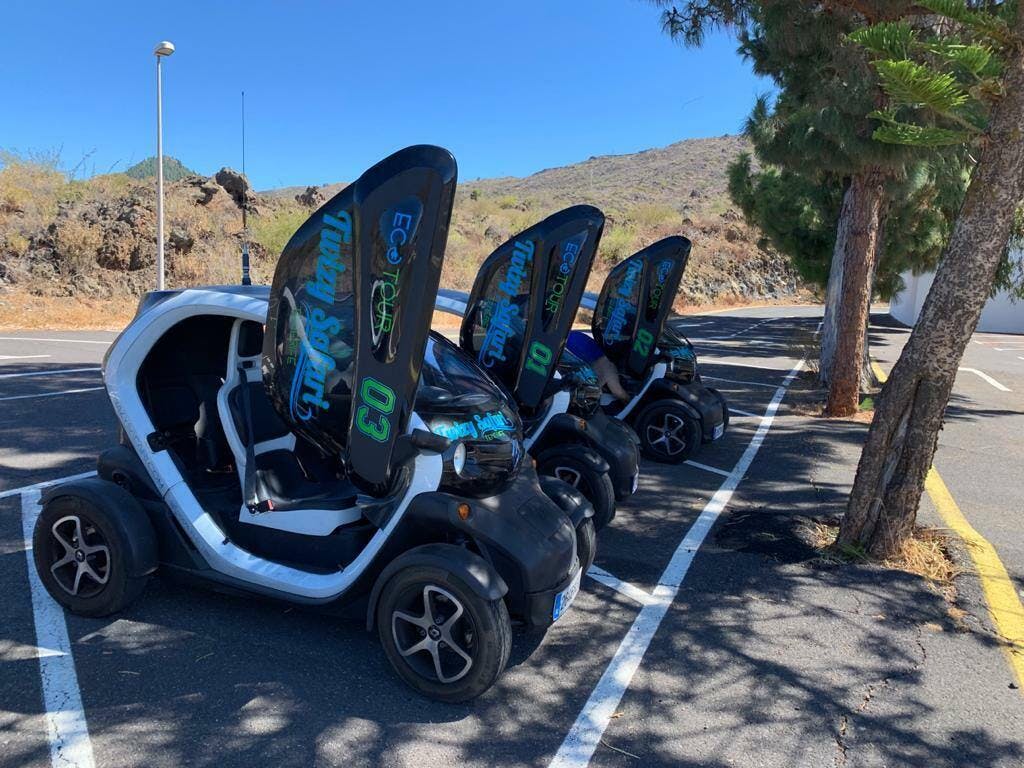 Twizy Safari Tenerife Tour for One