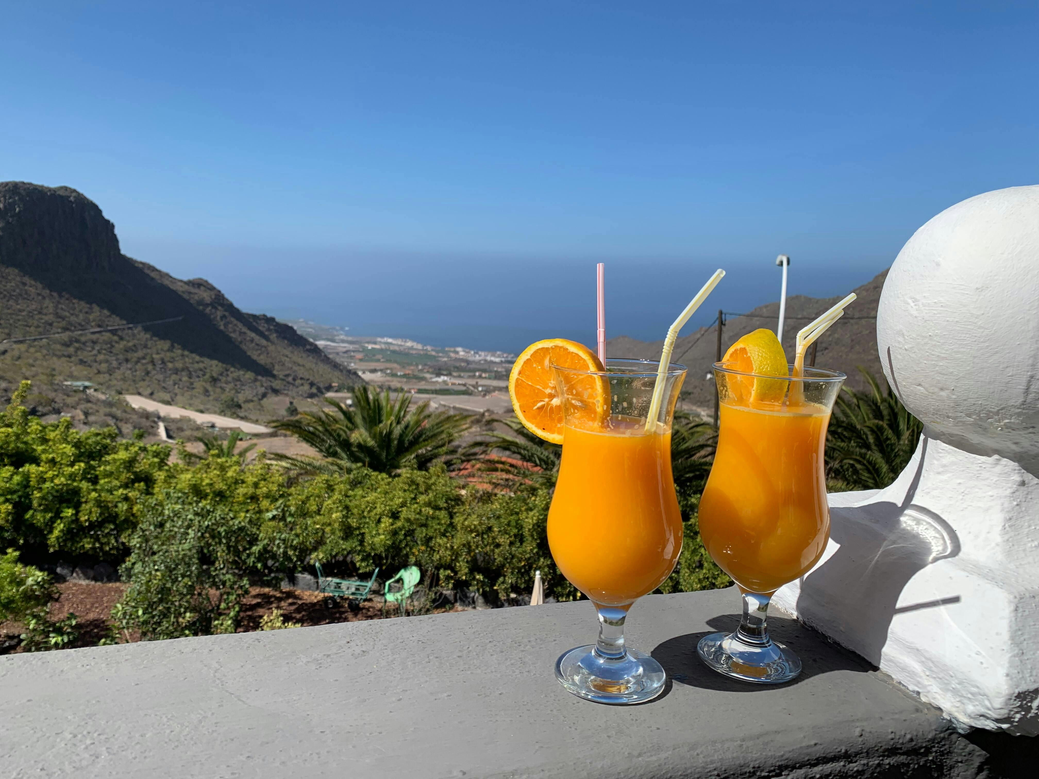 Twizy Safari Tenerife Tour for One