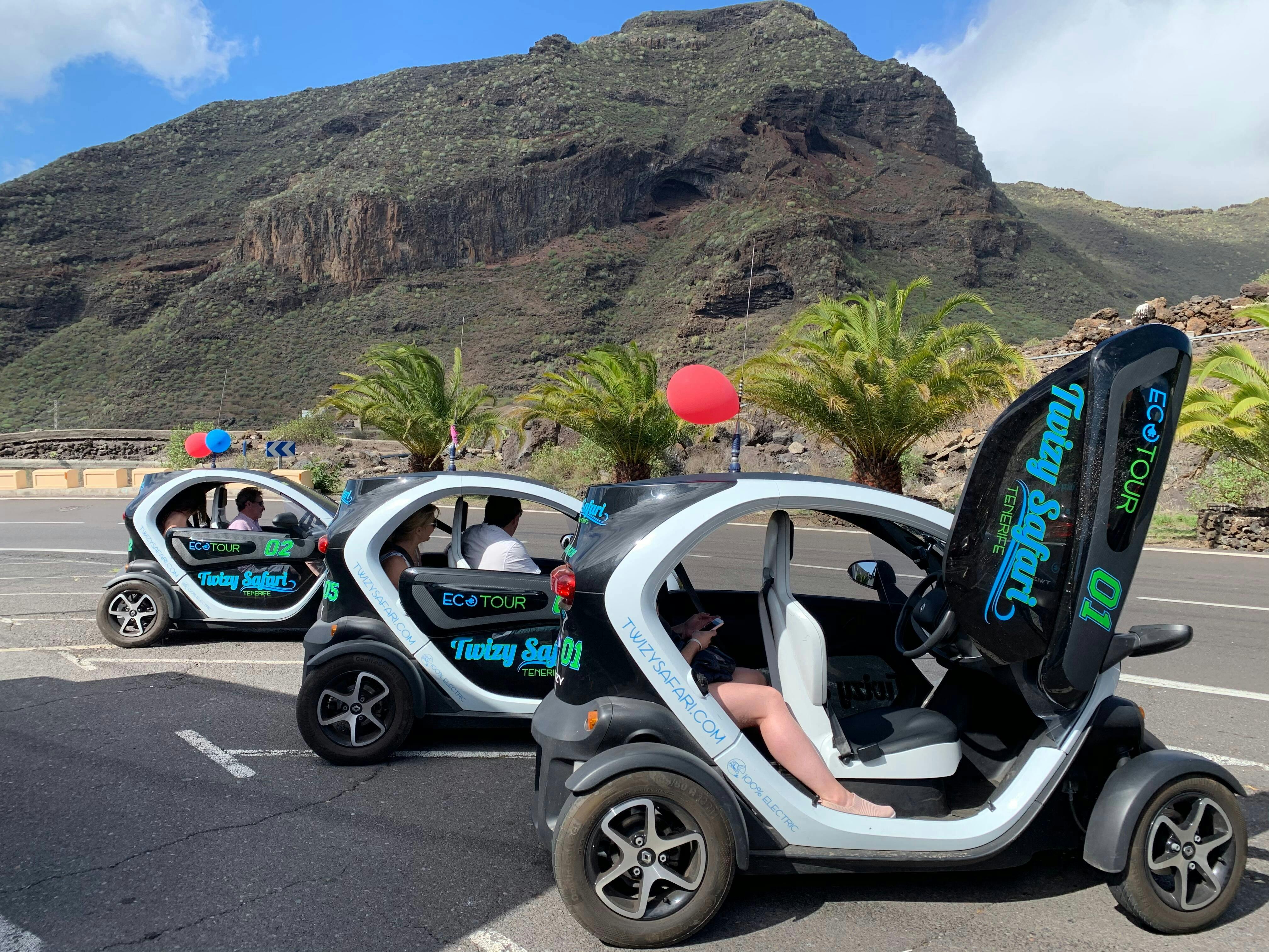 Twizy Safari Tenerife Tour for One