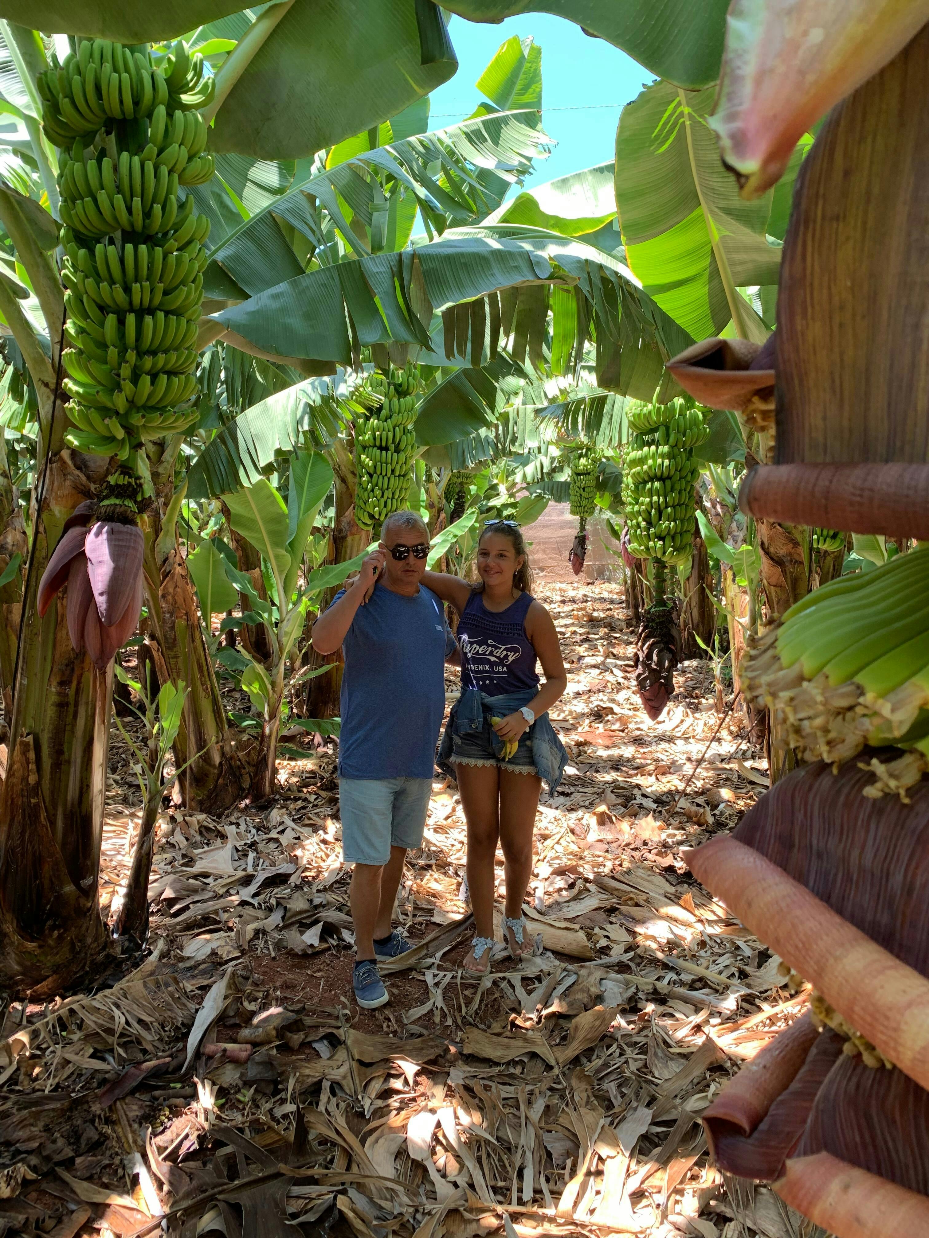 Twizy Safari Tenerife Tour for One