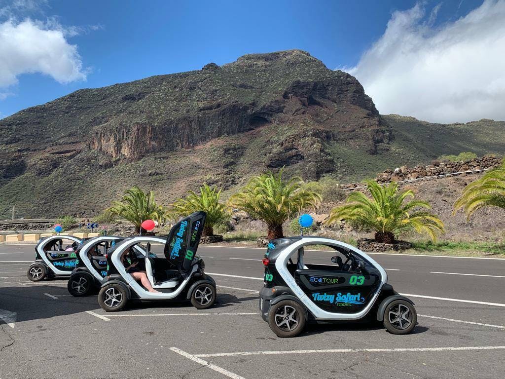 Twizy Safari Tenerife Tour for One