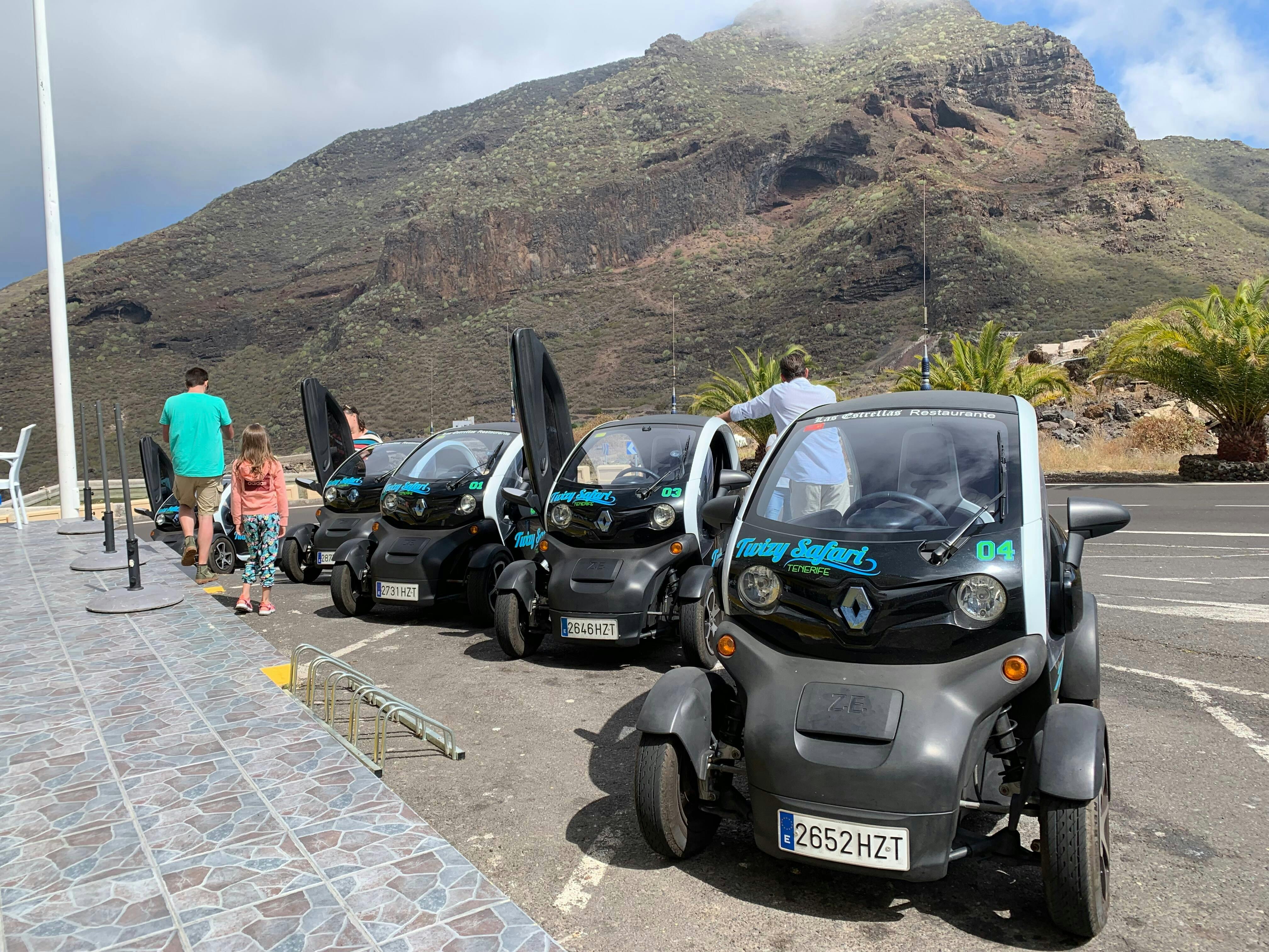 Twizy Safari Tenerife Tour for One