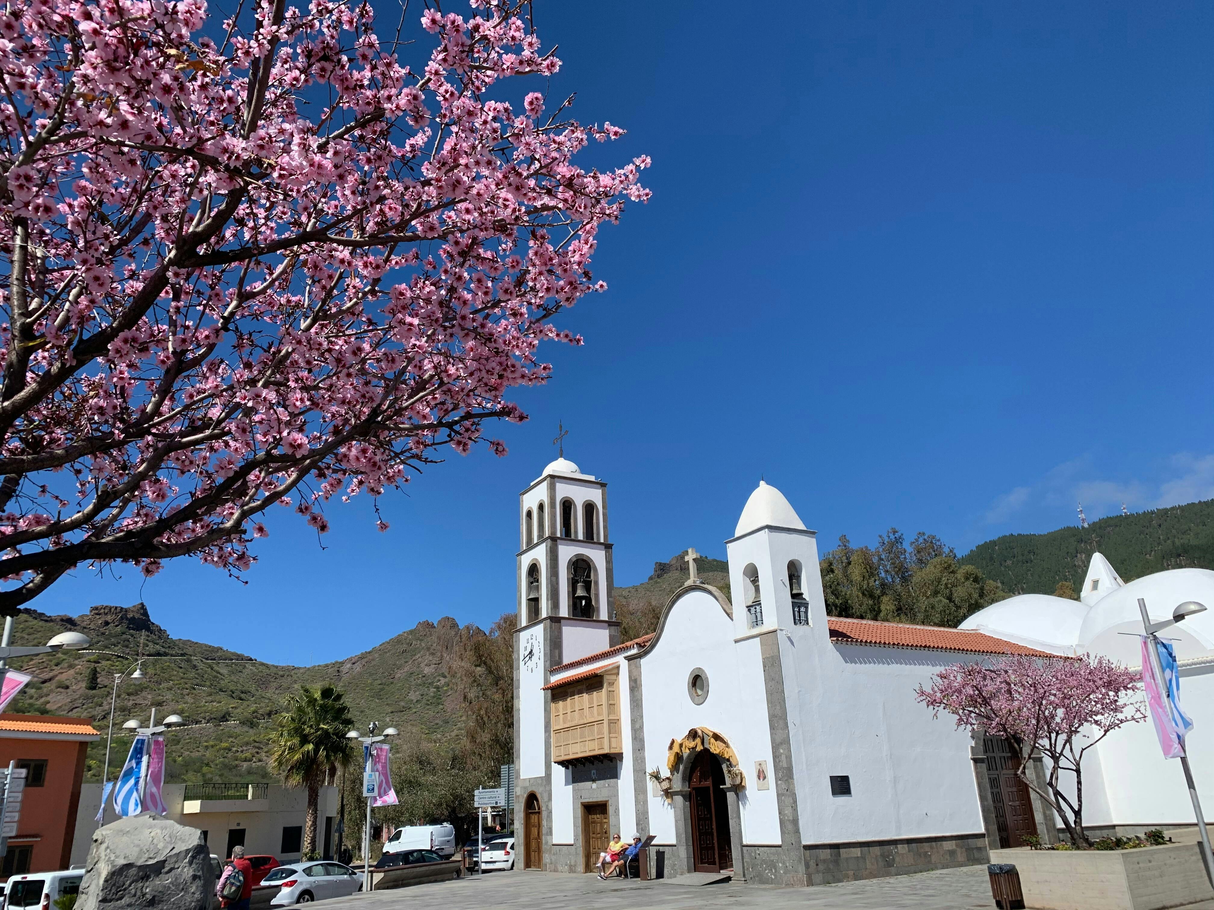 Twizy Safari Tenerife Tour for One