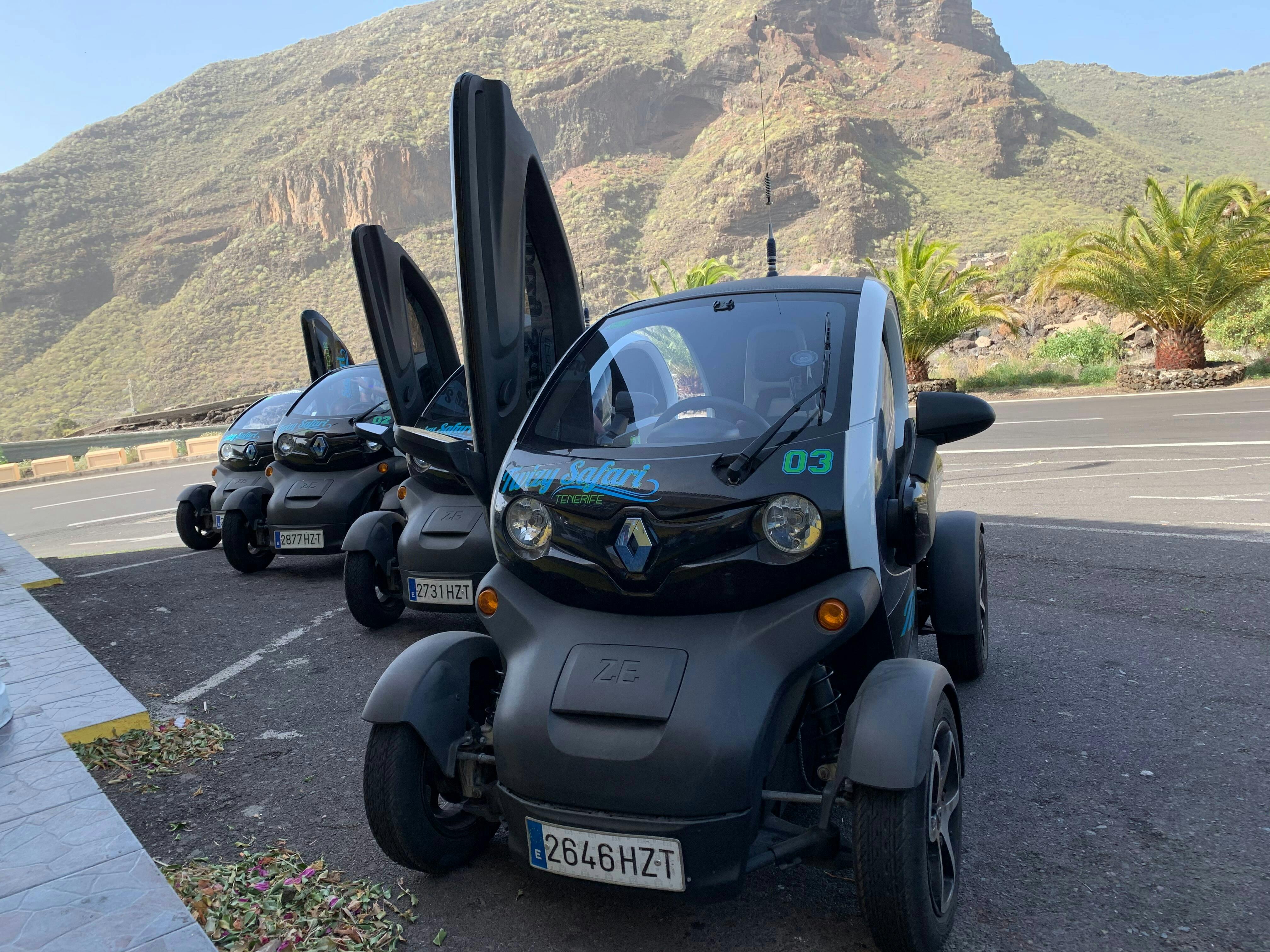 Twizy Safari Tenerife Tour for One